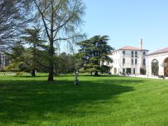 20140329_112041.jpg