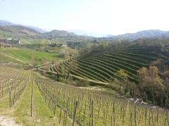 20140330_103756.jpg