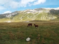 raid abruzzo 2014 938.JPG
