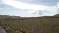raid abruzzo 2014 1045.JPG