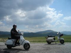 VESPA 133.jpg