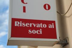 6Y7A4253.JPG