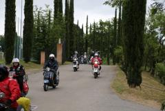 6Y7A4453.JPG