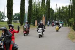 6Y7A4456.JPG