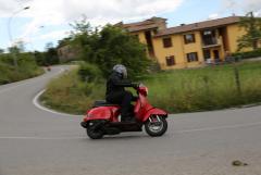 6Y7A4923.JPG
