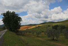 6Y7A4946.JPG