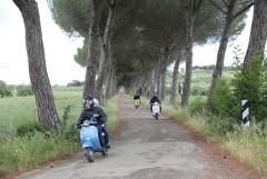 6Y7A4949.JPG