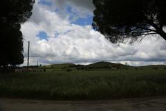 6Y7A4962.JPG