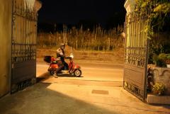 6Y7A5320.JPG