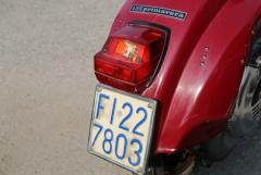 6Y7A5349.JPG