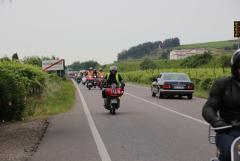 6Y7A5388.JPG