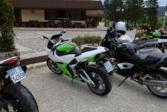 6Y7A5457.JPG