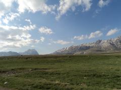 DSC00183.JPG