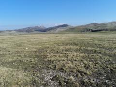 DSC00196.JPG