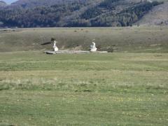 DSC00197.JPG