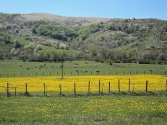 DSC00390.JPG
