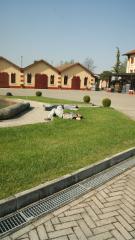 DSC05068.JPG
