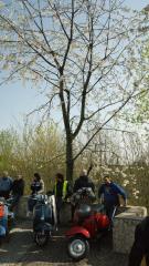 DSC05082.JPG