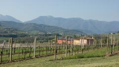 DSC05124.JPG
