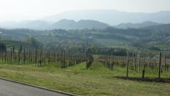DSC05125.JPG
