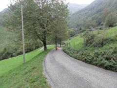 DSC09961.JPG