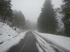 DSCN5362.JPG