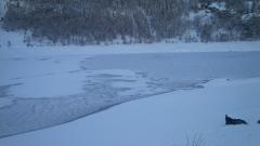 IMG_20150117_133009.jpg