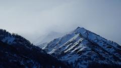 IMG_20150117_145146.jpg