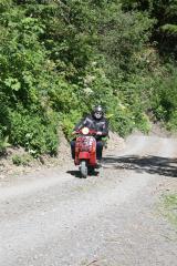 IMG_3390.JPG