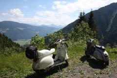 IMG_3393.JPG