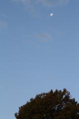 IMG_5179.JPG