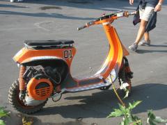 IMG_7811.jpg