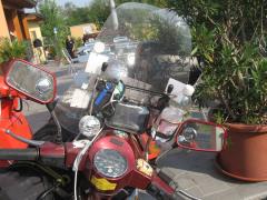 IMG_7819.jpg