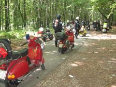 IMG_7839.jpg