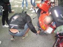 IMG_7843.jpg