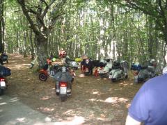 IMG_7844.jpg
