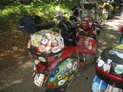 IMG_7847.jpg