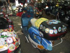 IMG_7848.jpg