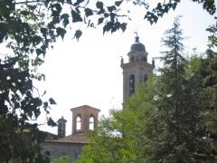 IMG_7859.jpg