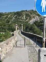IMG_7861.jpg