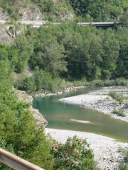IMG_7862.jpg