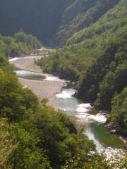 IMG_7863.jpg