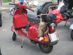 IMG_7865.jpg