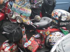 IMG_7873.jpg
