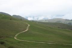 IMG_8750.JPG