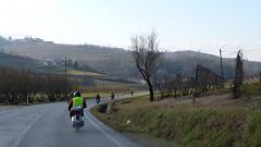 P1190851.JPG
