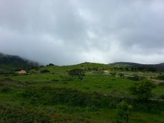 20140503_102224.jpg