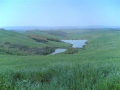 24042006_004_.jpg