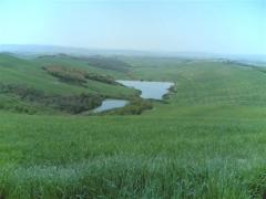 24042006_005_.jpg
