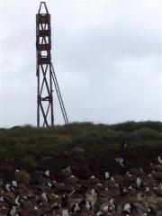 HPIM2750.JPG